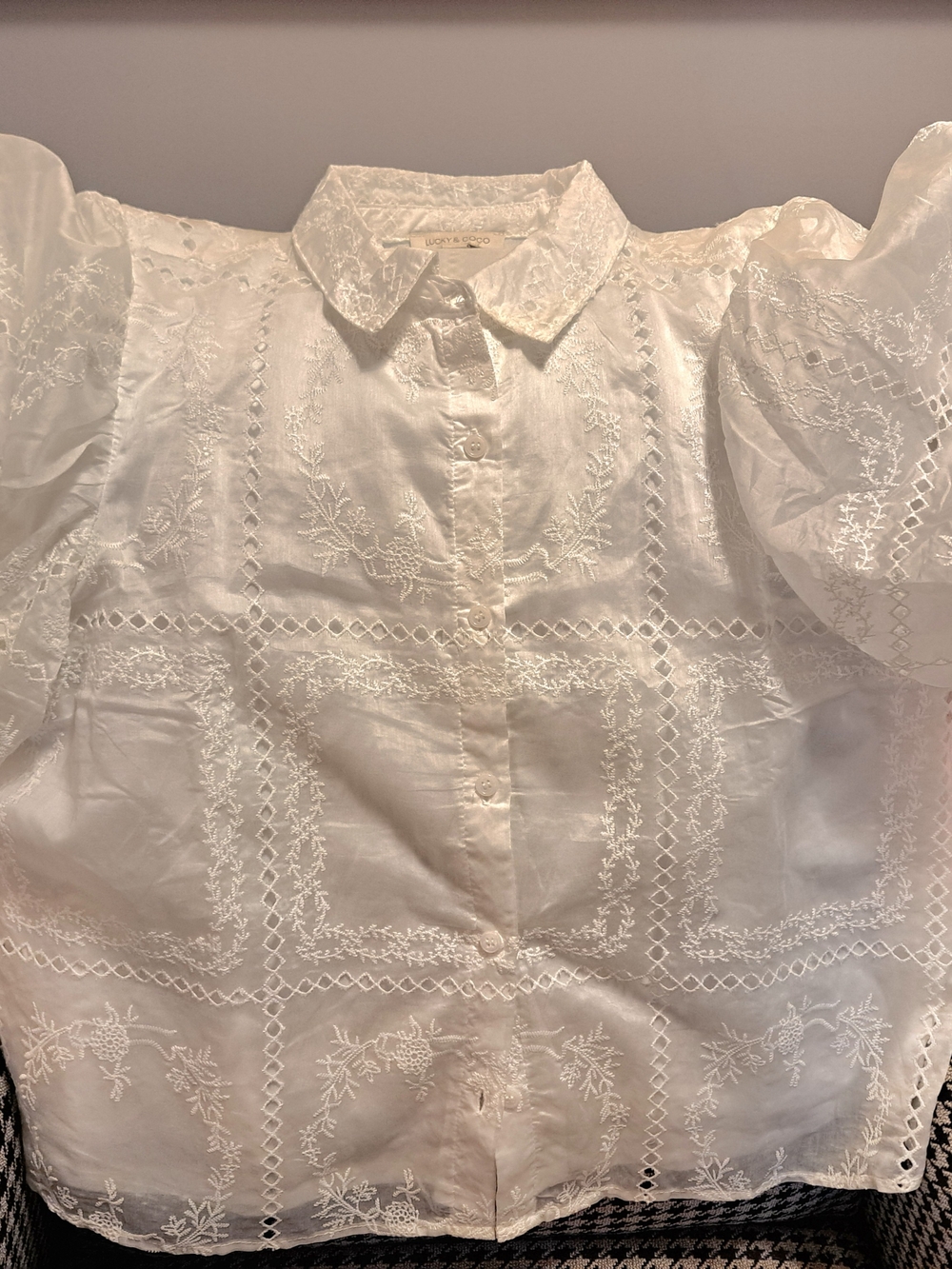 White Embroidered Puff-Sleeve Button Front Blouse